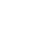 Mid-Market Construction Company