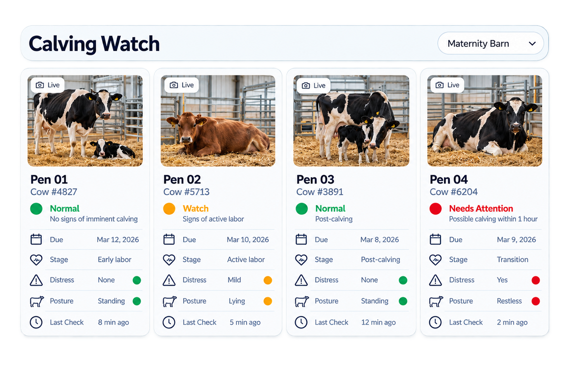 Smart Detection and Predictive Alerts Rhombus Studio Dashboards