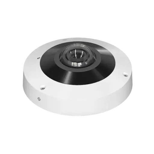 fisheye camera model